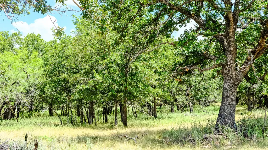 1922 Loving Road Jermyn TX 76459