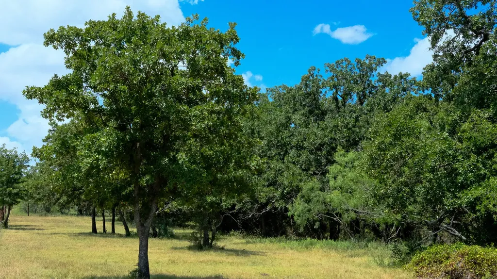 1922 Loving Road Jermyn TX 76459