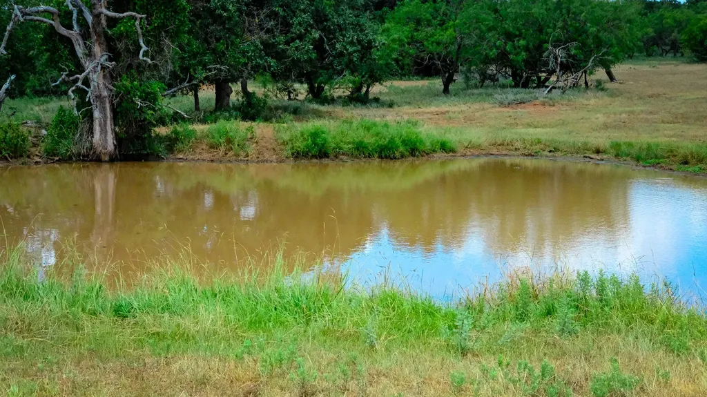 1922 Loving Road Jermyn TX 76459