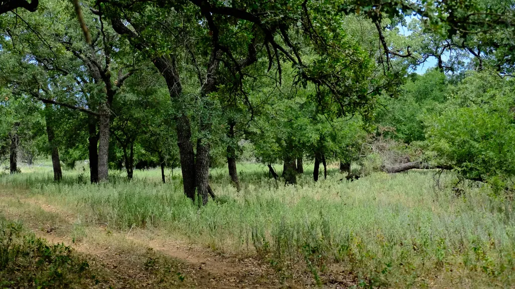 1922 Loving Road Jermyn TX 76459