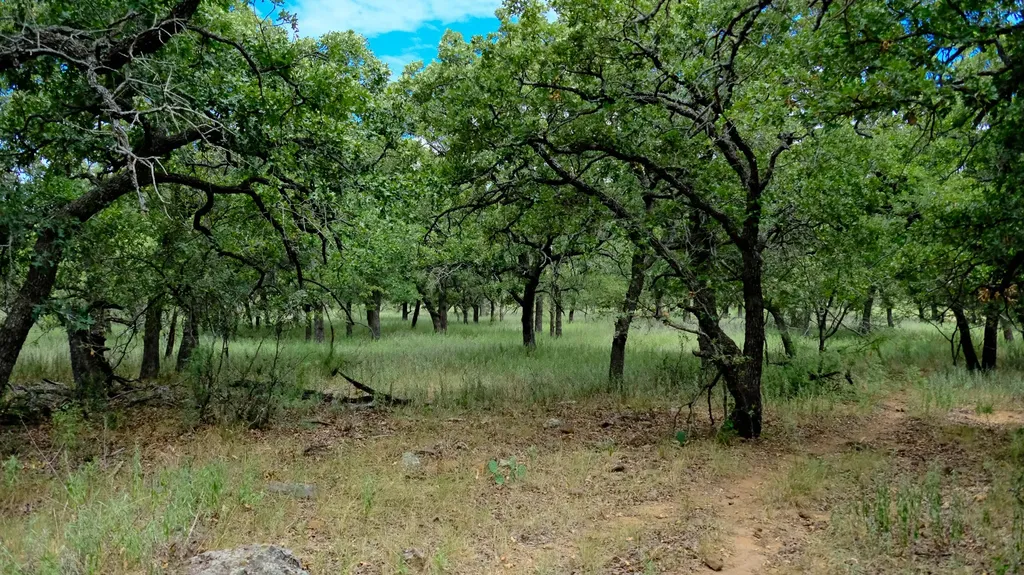 1922 Loving Road Jermyn TX 76459