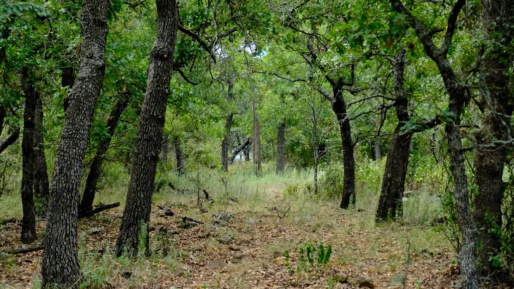 1922 Loving Road Jermyn TX 76459