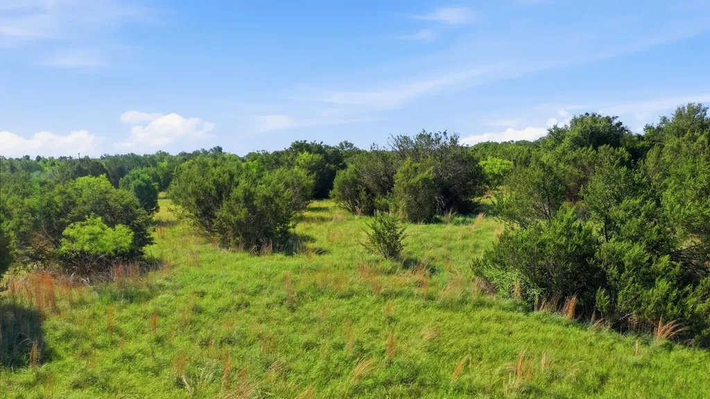 100 Gilmore Court Lipan TX 76462