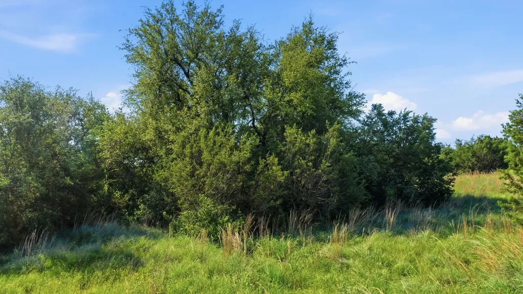 100 Gilmore Court Lipan TX 76462