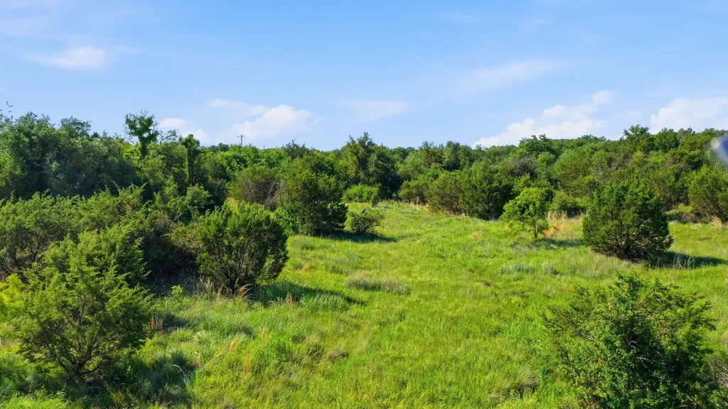 100 Gilmore Court Lipan TX 76462
