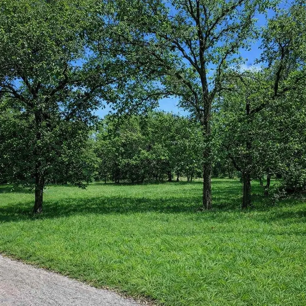 196 Johnston Lane Runaway Bay TX 76426