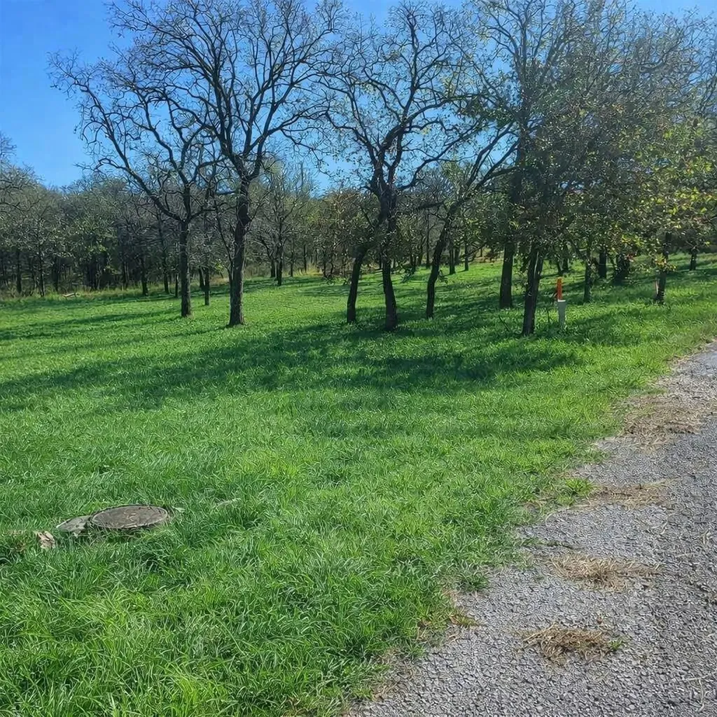 196 Johnston Lane Runaway Bay TX 76426