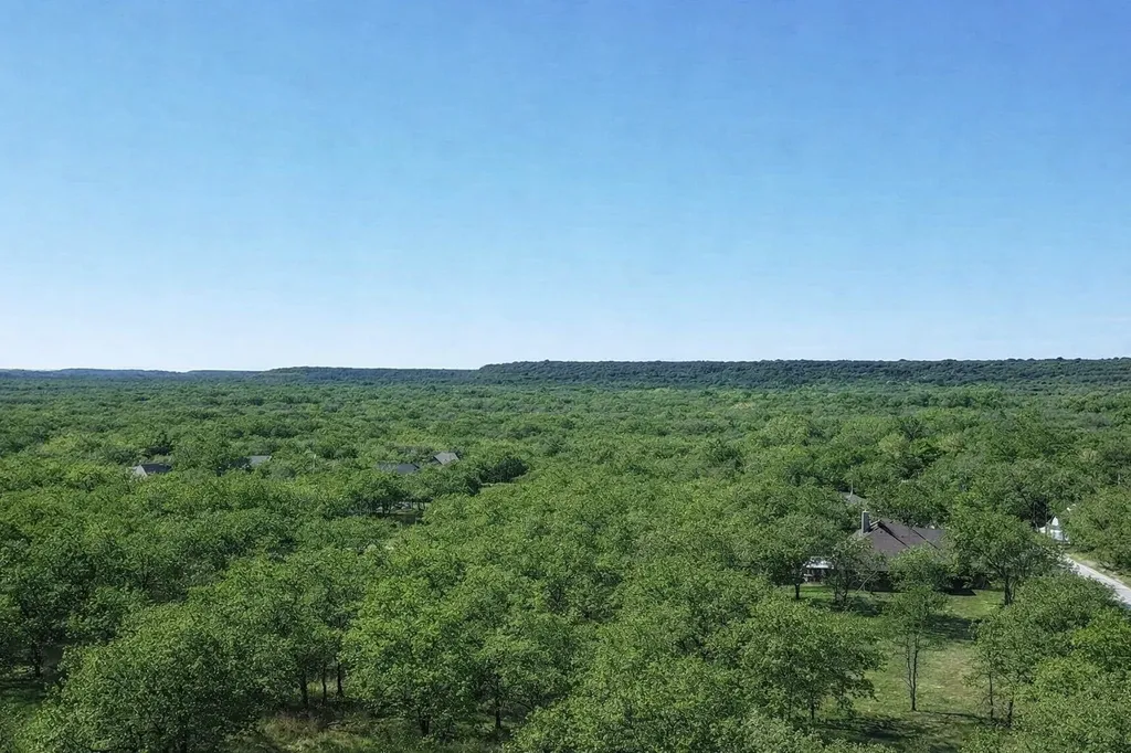 196 Johnston Lane Runaway Bay TX 76426