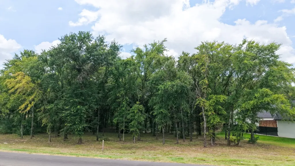 309 Cedar Creek Landing Lane Mabank TX 75143