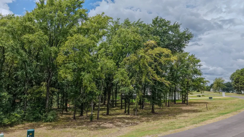 309 Cedar Creek Landing Lane Mabank TX 75143