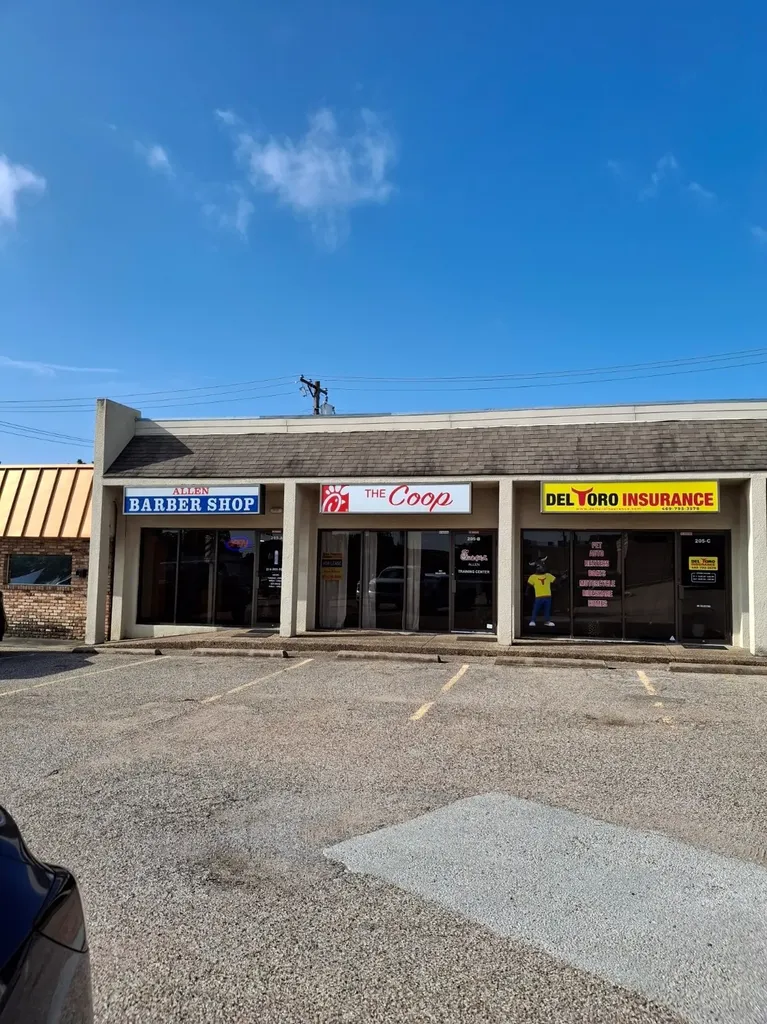 205 W Main Street Allen TX 75013