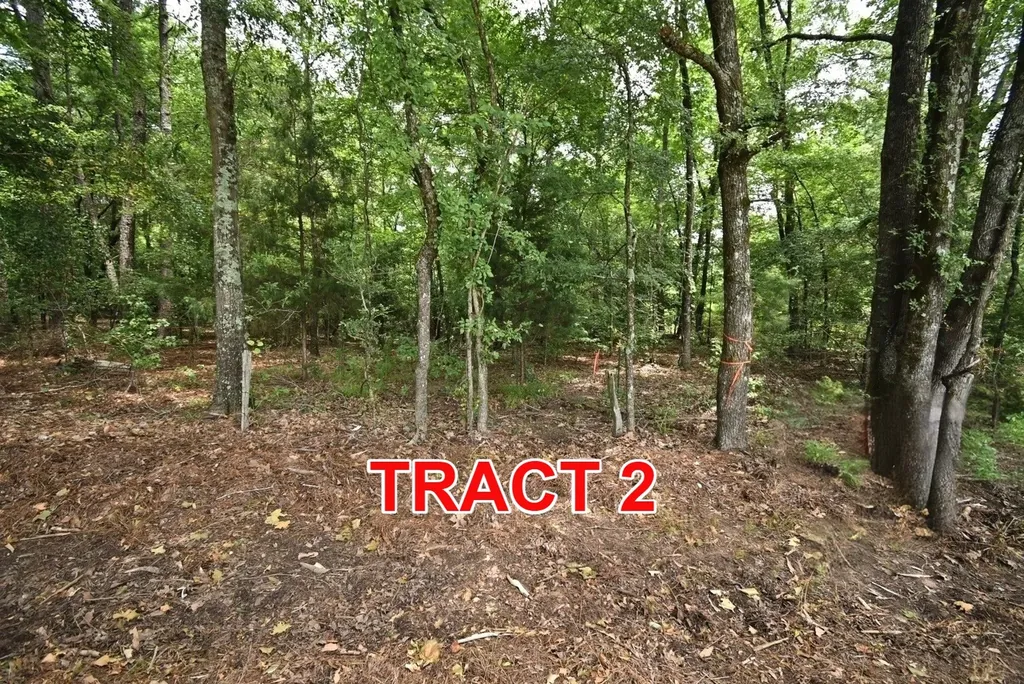 Tract 2 County Road 3117 Clarksville TX 75426