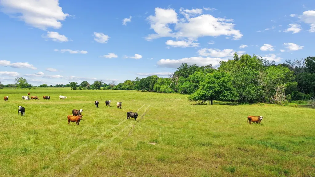 1080 Grand Oaks Ranch Road Greenville TX 75401
