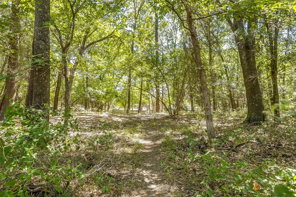 1080 Grand Oaks Ranch Road Greenville TX 75401