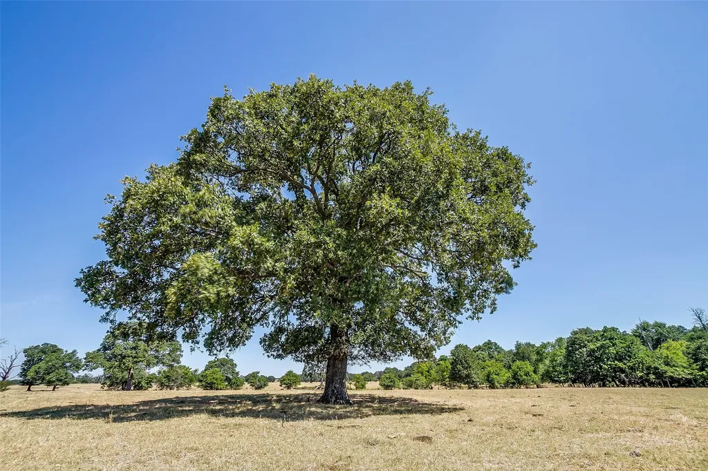 1080 Grand Oaks Ranch Road Greenville TX 75401