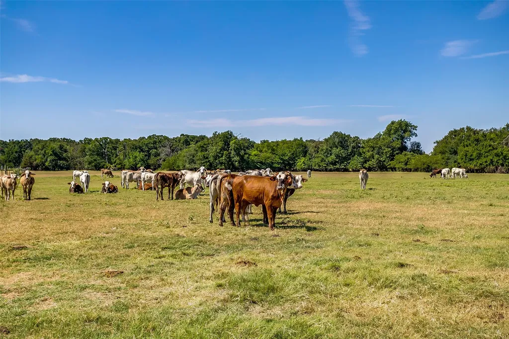 1080 Grand Oaks Ranch Road Greenville TX 75401