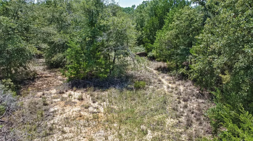 801 Starlight Path Road Caldwell TX 77836