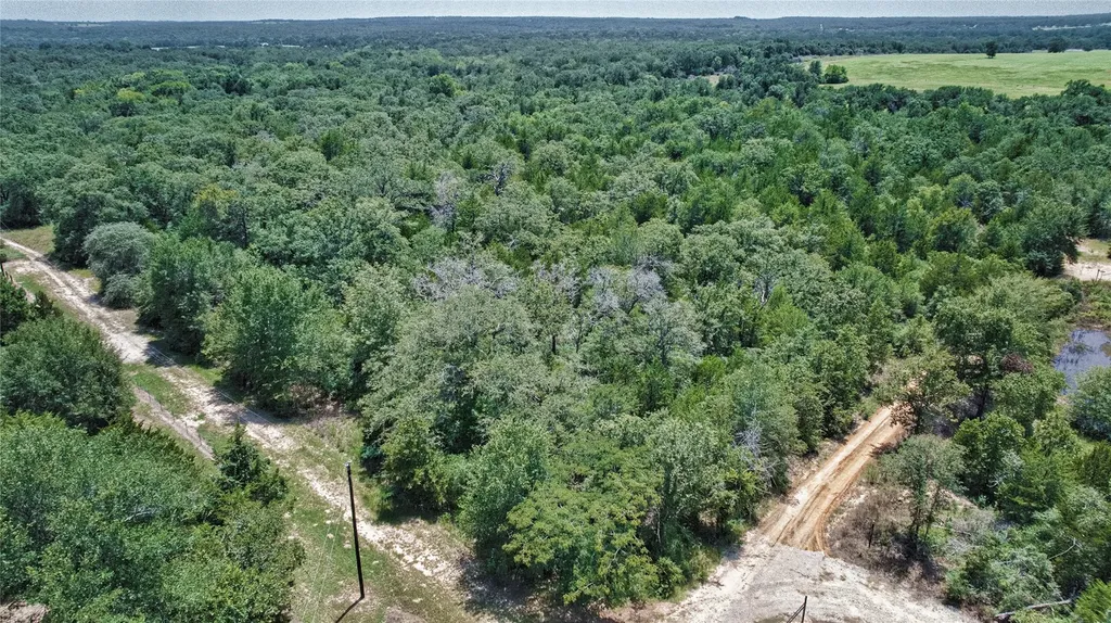 801 Starlight Path Road Caldwell TX 77836