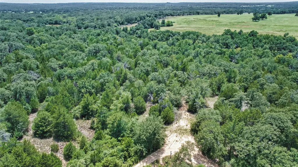 801 Starlight Path Road Caldwell TX 77836