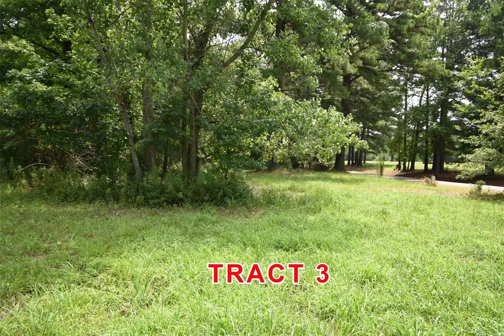 Tract 3 County Road 3117 Clarksville TX 75426