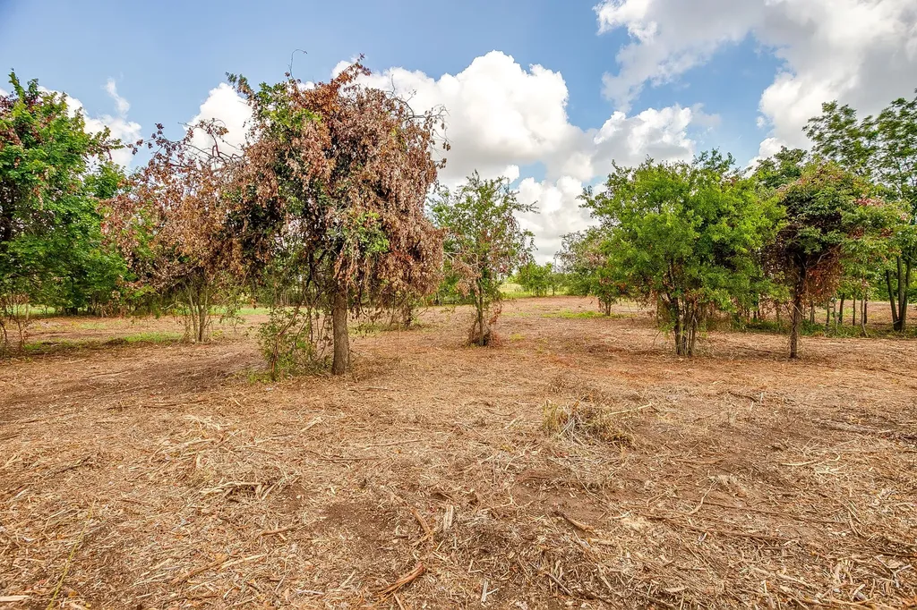 TBD-1 Clover Drive Poolville TX 76487