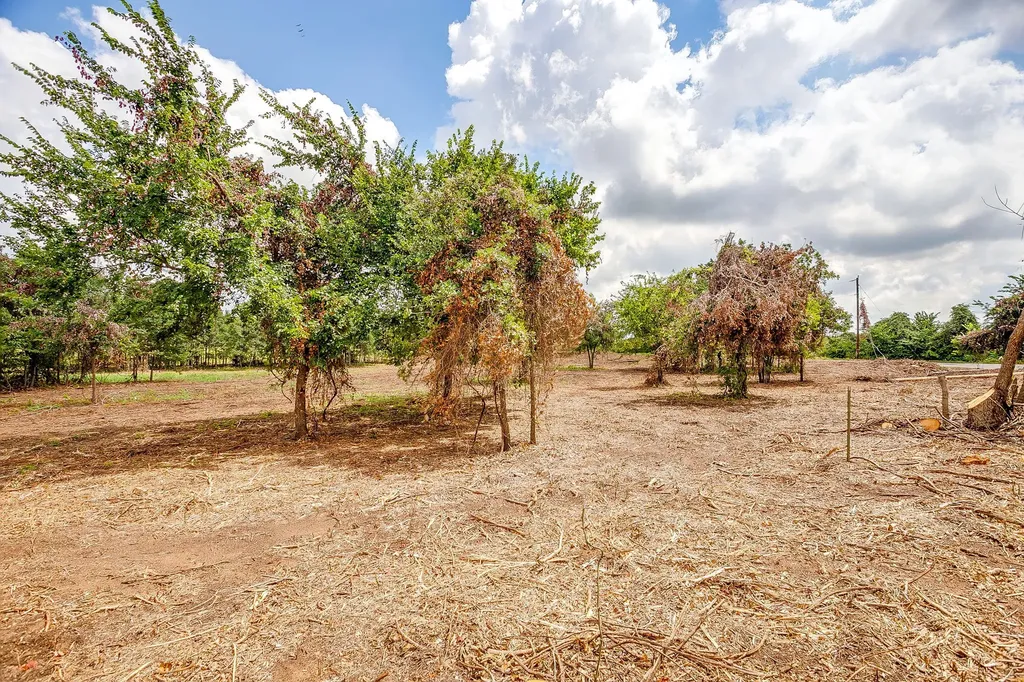 TBD-1 Clover Drive Poolville TX 76487