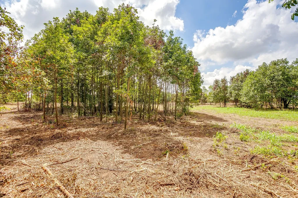 TBD-2 Clover Drive Poolville TX 76487