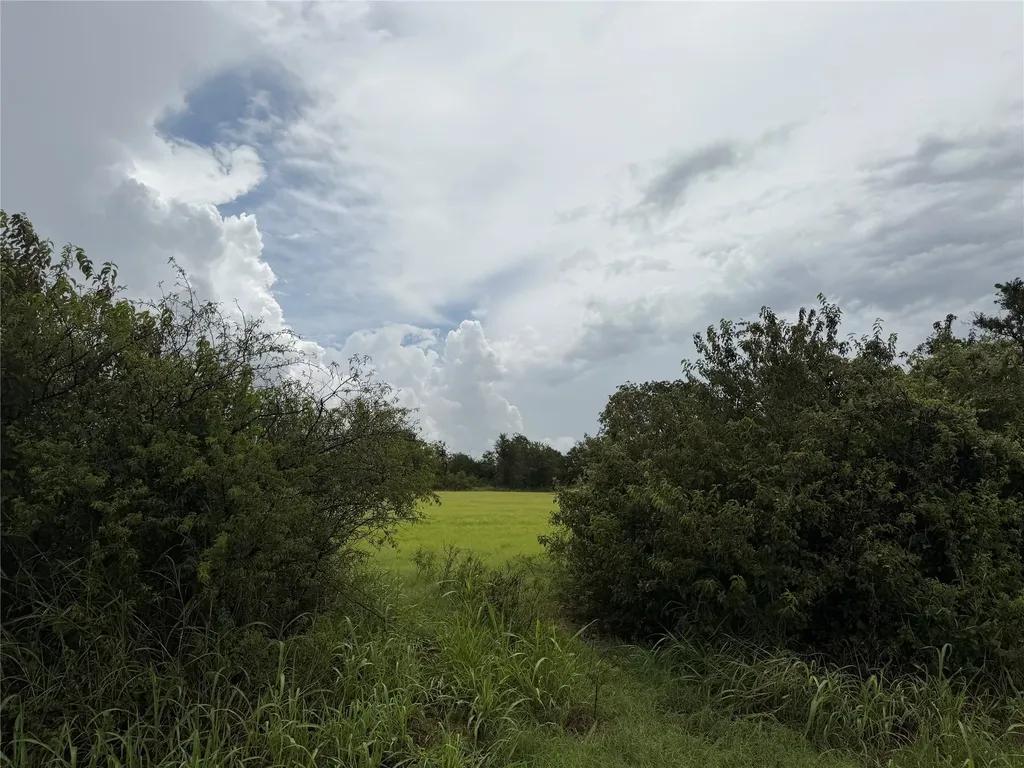 0000 County Road 3681 Paradise TX 76073