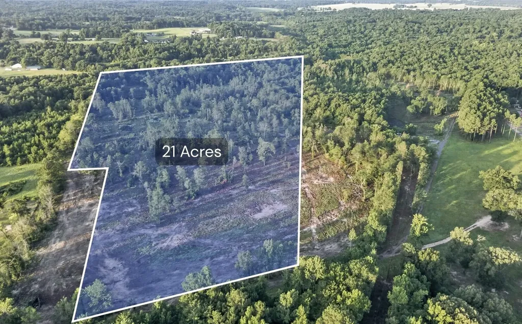 Tbd 21 Acres Cr 3116 Winona TX 75792