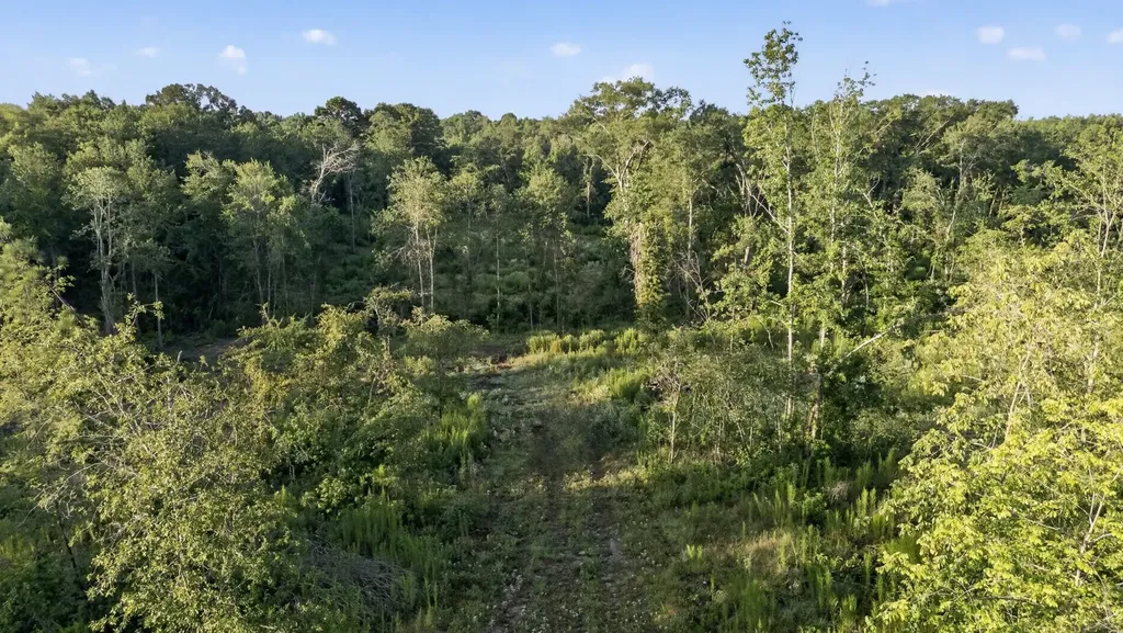 Tbd 21 Acres Cr 3116 Winona TX 75792