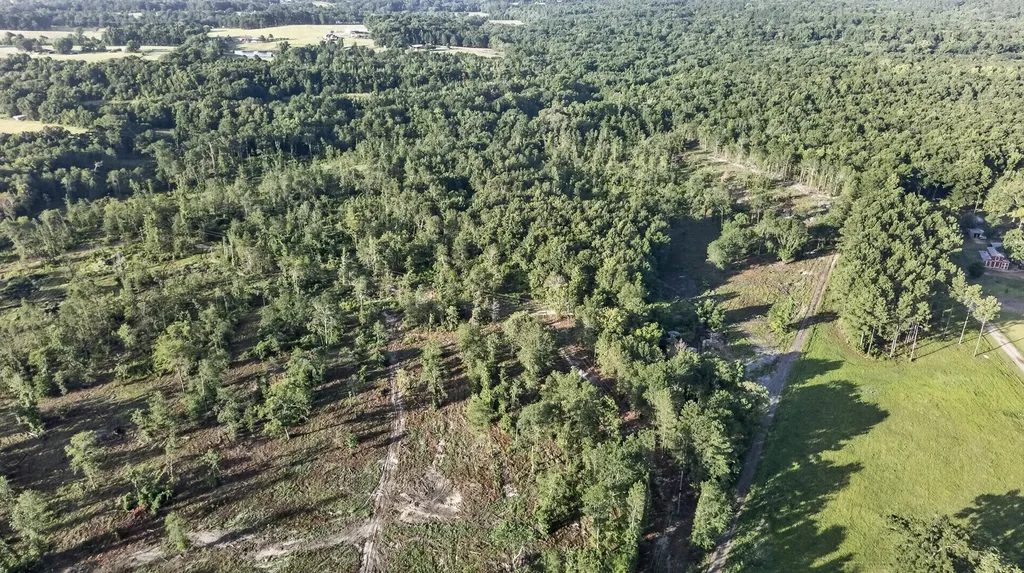 Tbd 21 Acres Cr 3116 Winona TX 75792