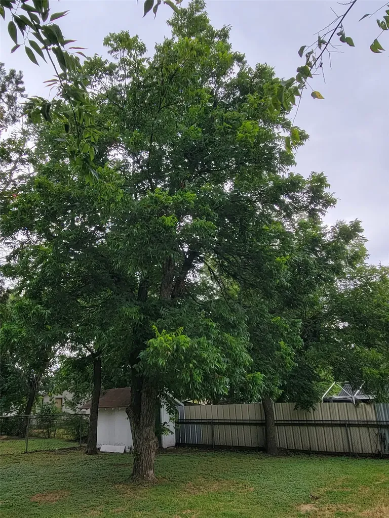 3513 Bluebird Street Waco TX 76705