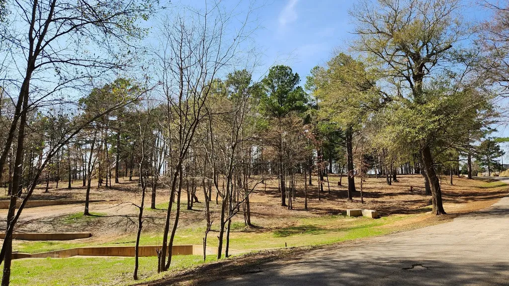 22540 Cr 1174 Bullard TX 75757