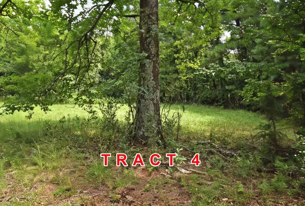 Tract 4 County Road 3117 Clarksville TX 75426