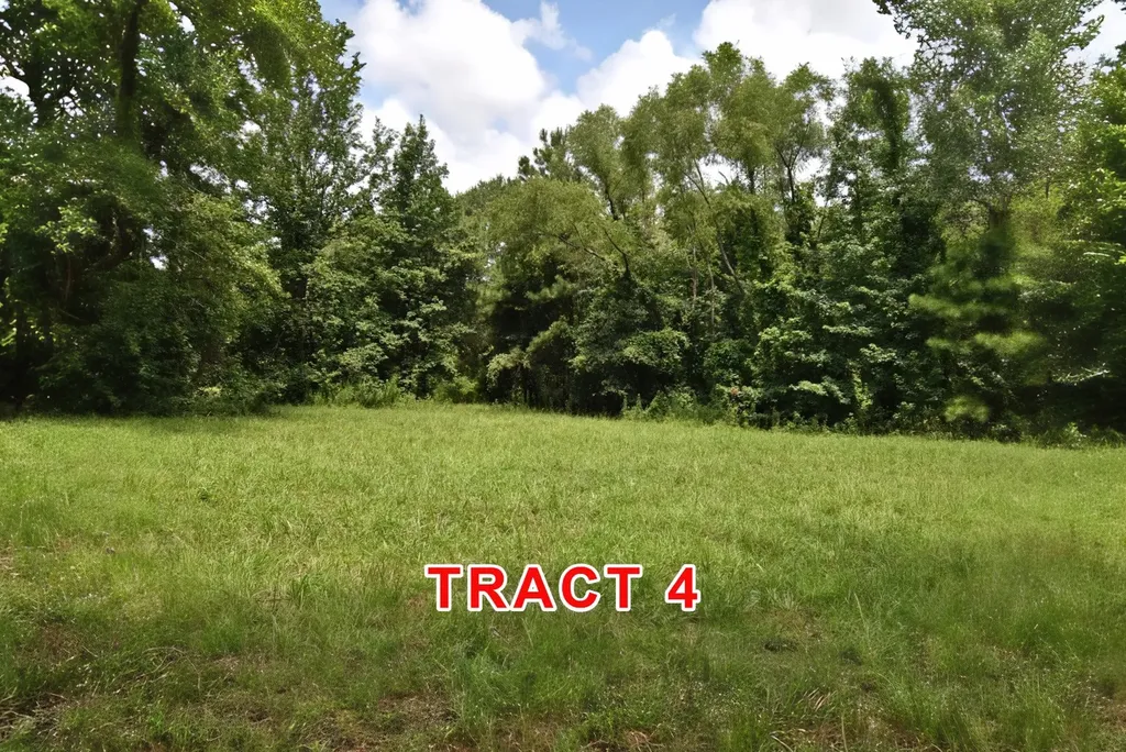 Tract 4 County Road 3117 Clarksville TX 75426
