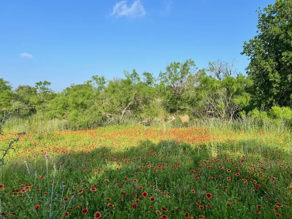 Tbd S Highway 16 Comanche TX 76442