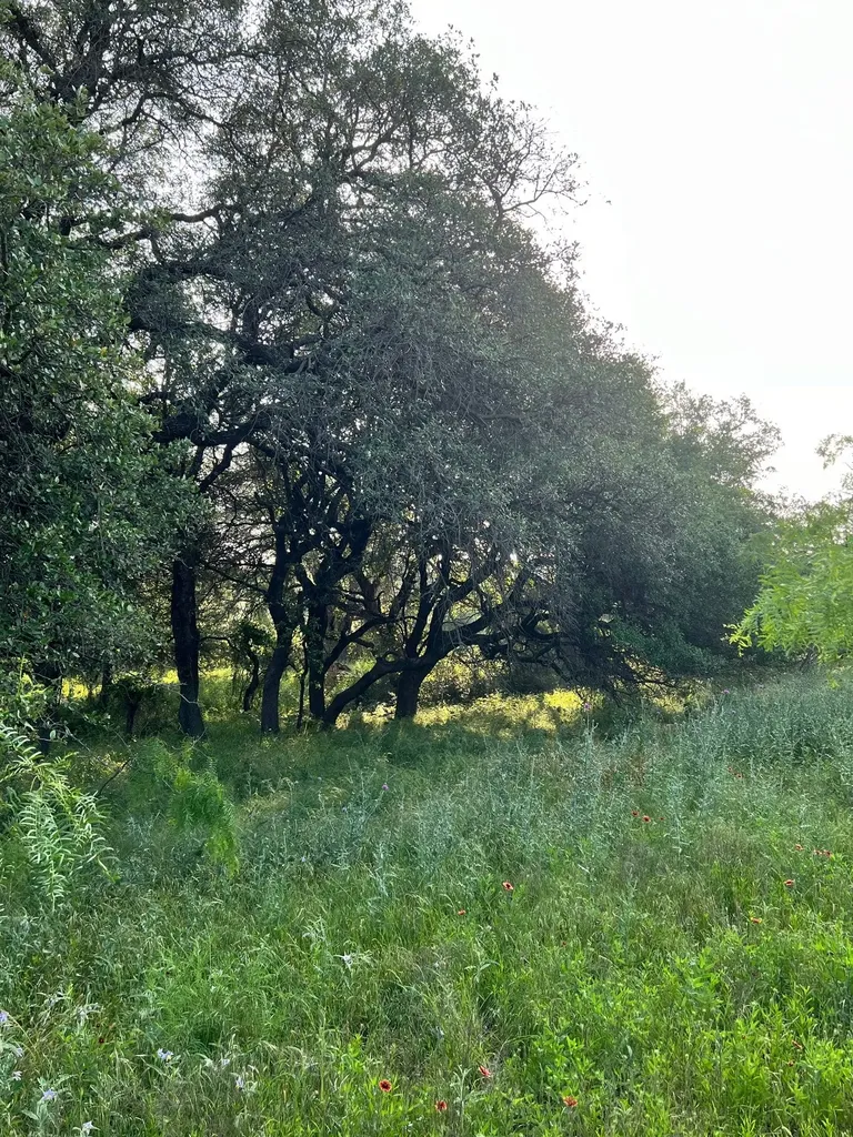 Tbd S Highway 16 Comanche TX 76442