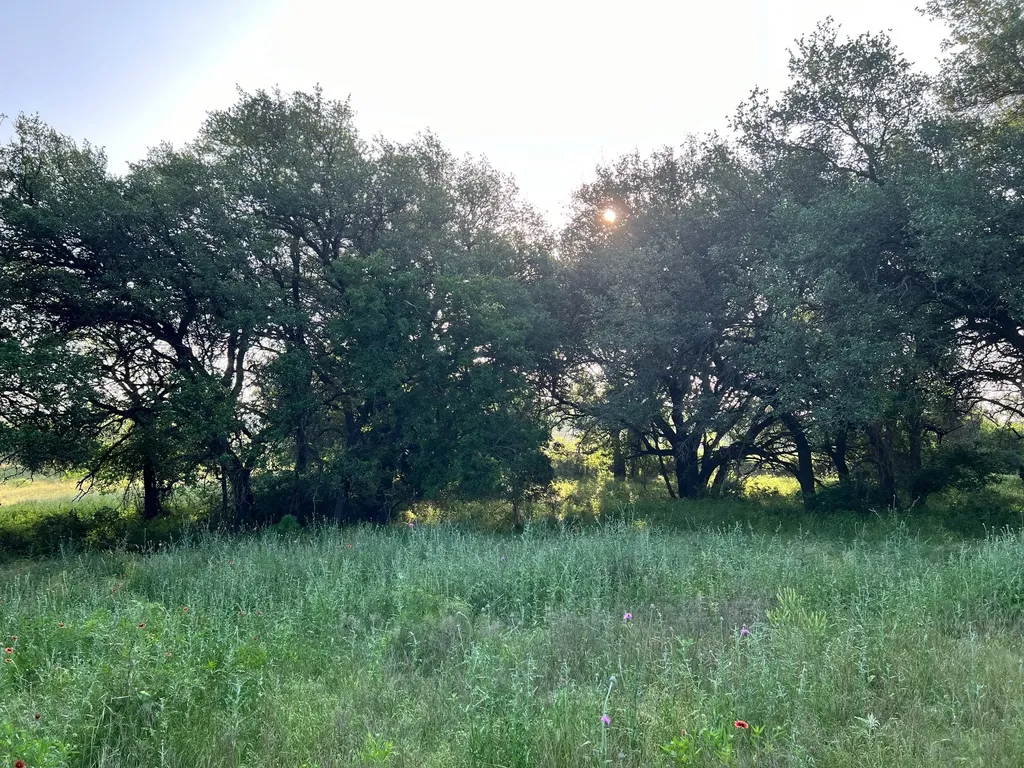 Tbd S Highway 16 Comanche TX 76442