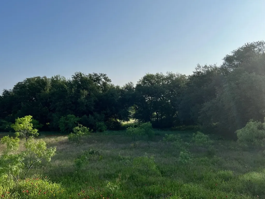 Tbd S Highway 16 Comanche TX 76442