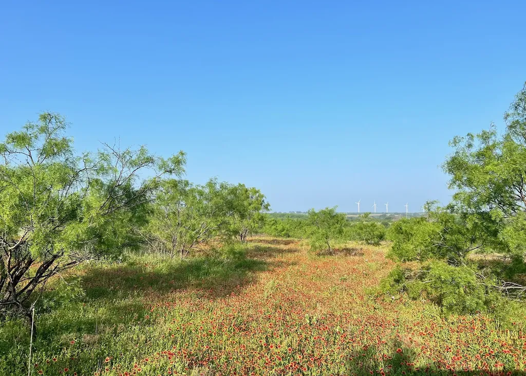 Tbd S Highway 16 Comanche TX 76442
