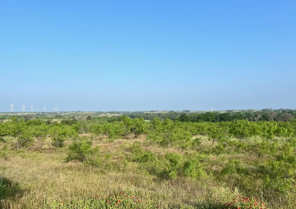 Tbd S Highway 16 Comanche TX 76442