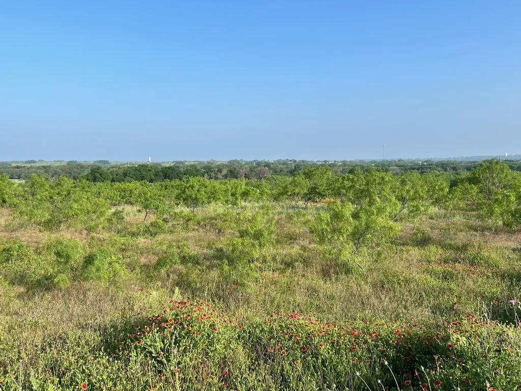 Tbd S Highway 16 Comanche TX 76442