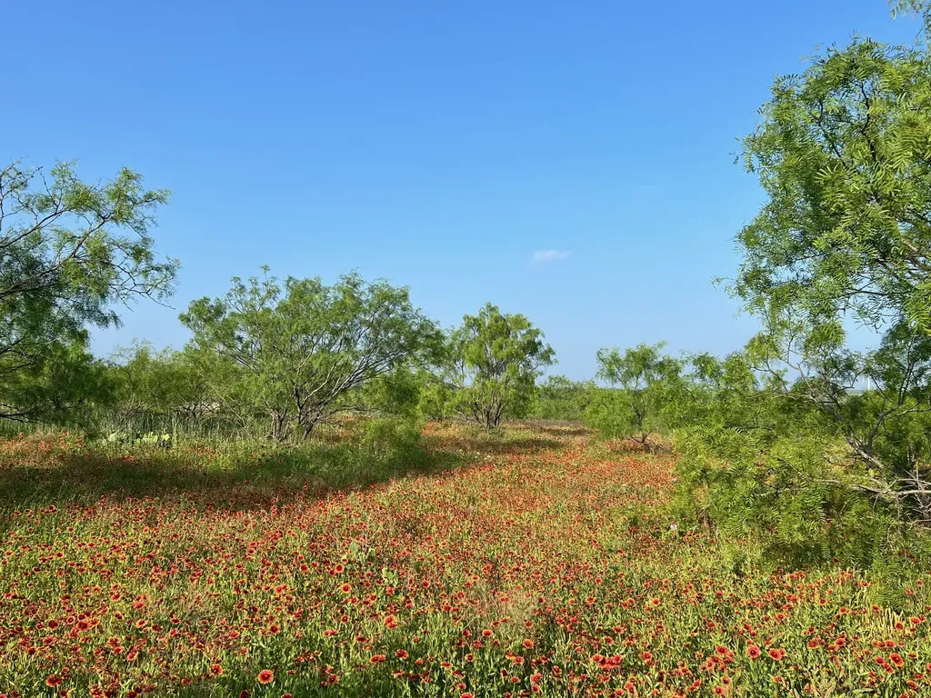 Tbd S Highway 16 Comanche TX 76442