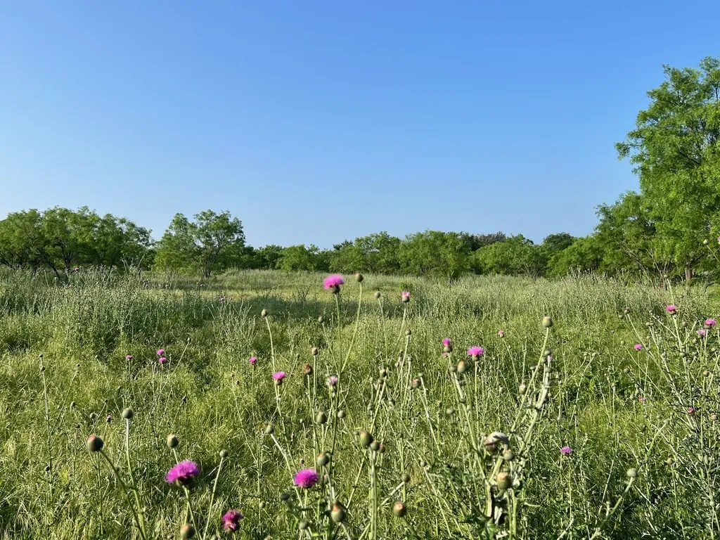 Tbd S Highway 16 Comanche TX 76442
