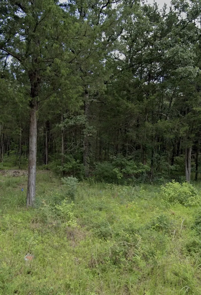 Tbd Rs County Road 1180 Emory TX 75440