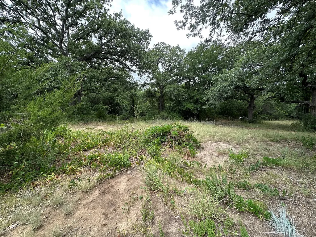 176 Live Oak Road Springtown TX 76082