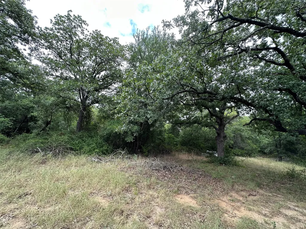 176 Live Oak Road Springtown TX 76082