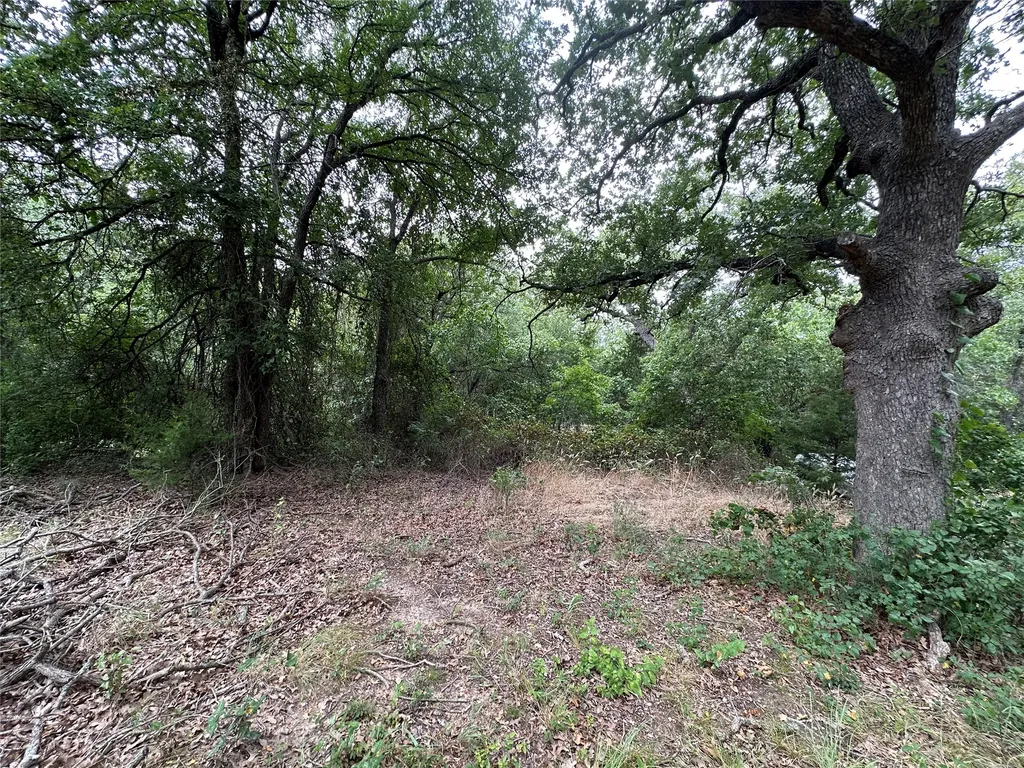 176 Live Oak Road Springtown TX 76082