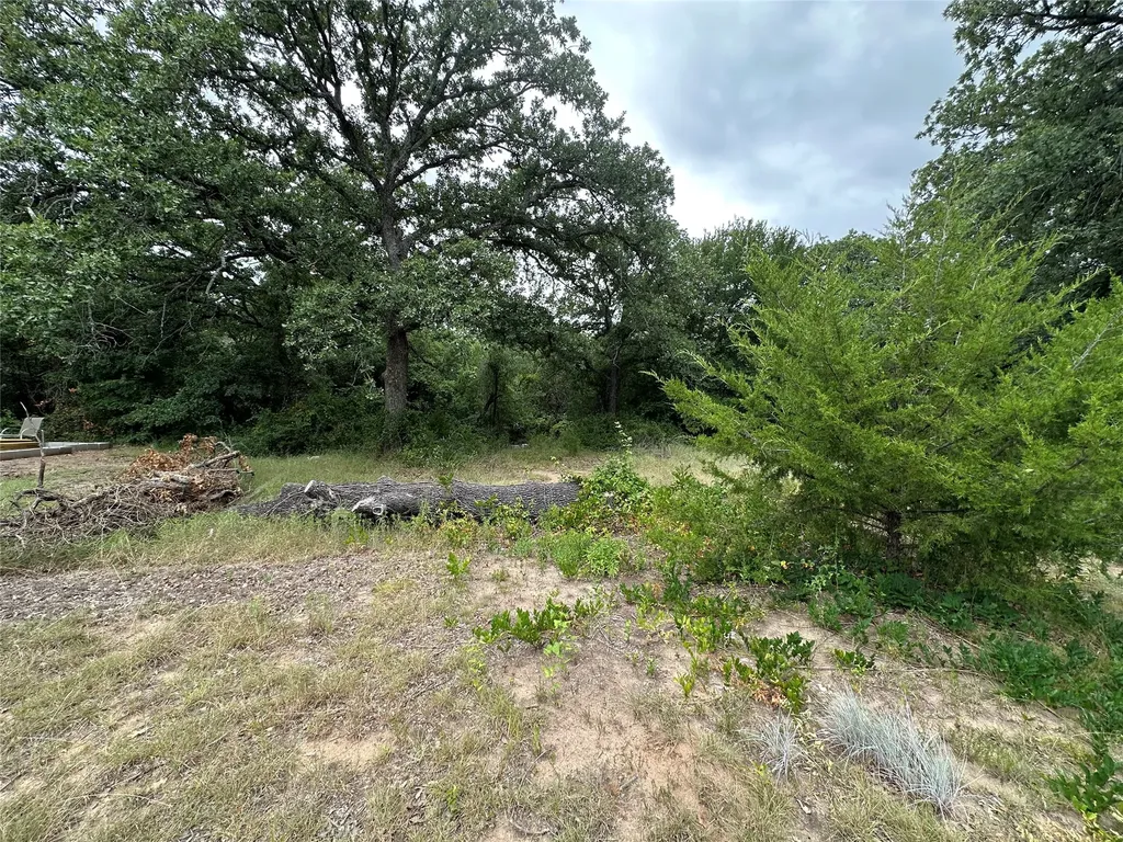 176 Live Oak Road Springtown TX 76082