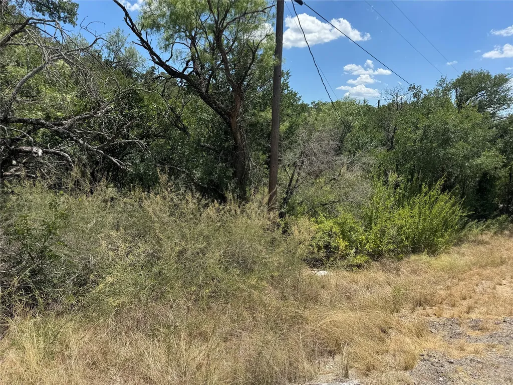 1002 Boulder Drive Gordon TX 76453